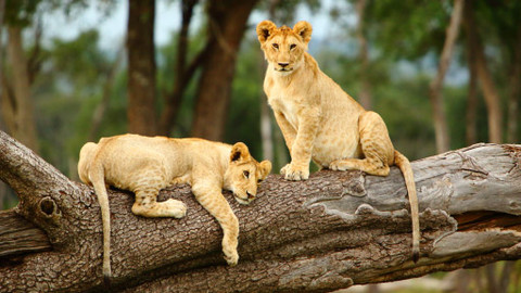 Dobrodruh - Epizoda 7/12