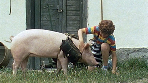 Území bílých králů - 6/7 Nový les