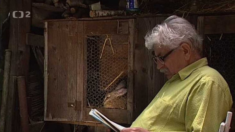 Ilustrované fejetony Ludvíka Vaculíka - Fejeton (Po operaci; červen 1981)