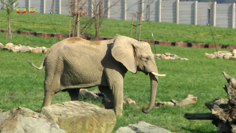 Terčin zvířecí svět - 3. května 2024