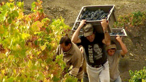 Putování za vínem - 11/15 Porto, Douro