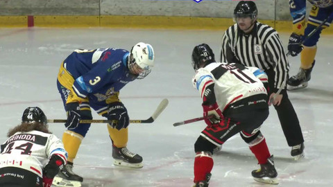 Univerzitní liga ledního hokeje - HC NORTH WINGS Ústí nad Labem - VUT Cavaliers Brno