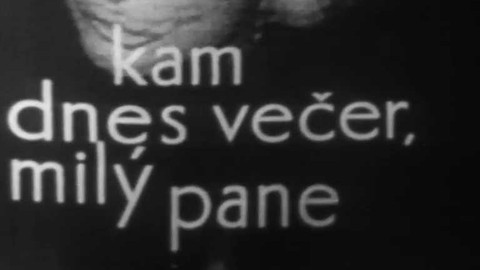 Kam dnes večer milý pane...?