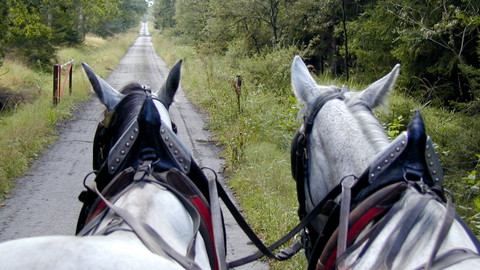 Výprava za českými čerty - 1/21 Čertova odměna