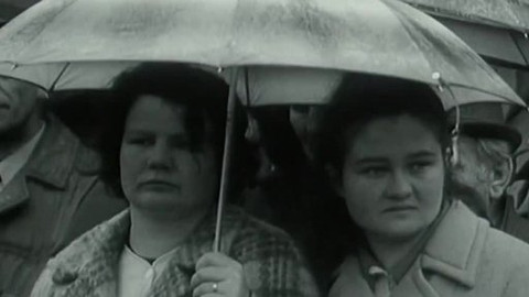 Archiv ČT24 - Čtyřkové listopady