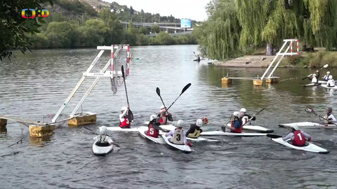 Zprávičky - 29. srpna