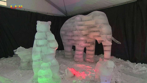 Zprávičky - 17. ledna 2024