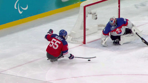 XIV. zimní paralympijské hry 2026 Milano Cortina - Japonsko - Kanada