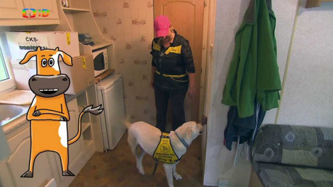 Telefon - 17. června 2016