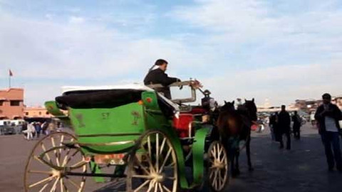 Objektiv - 25. srpna 2013