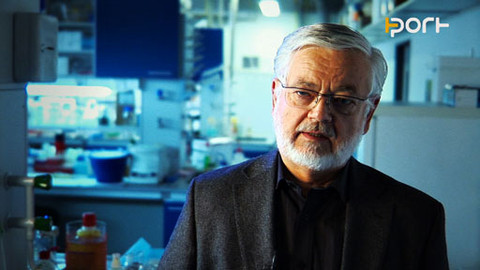 PORT - Michaelovy experimenty