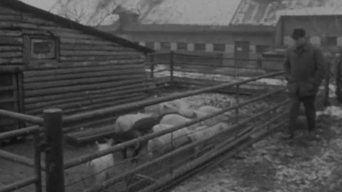 Z našeho kraje - Severočeský