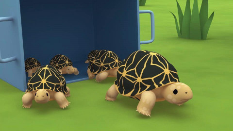 Leo, strážce přírody - Želva hvězdnatá