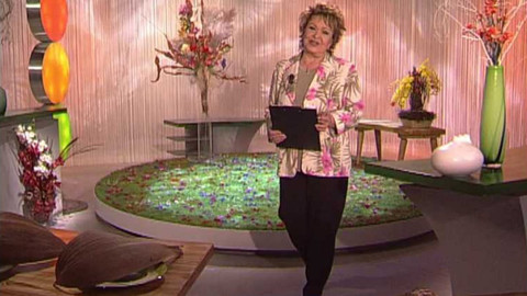 Dobrá rada nad zlato - 5. května 2007