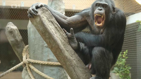 Gejzír - 6. března