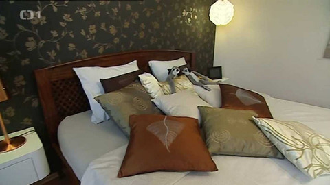 Bydlení je hra - 19. května 2011