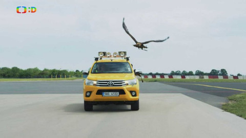 Jak to lítá na letišti - Ptačí hlídka