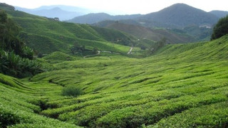 Na cestě po Malajsii