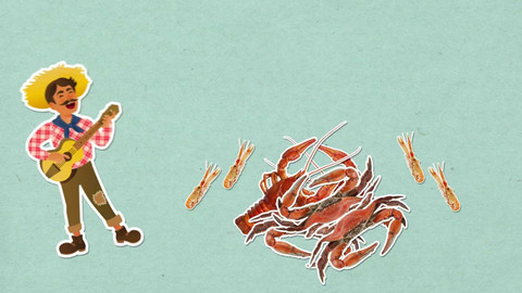 To je něco! - Proč krabi chodí jen do strany?