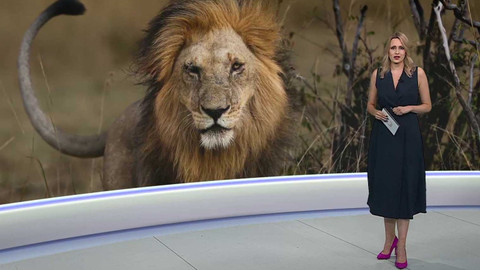 Horizont ČT24 - 8. října