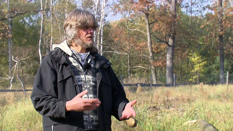 Nedej se! - Krize Hodonínské dúbravy