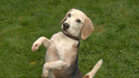 Chcete mě? - Chcete je?