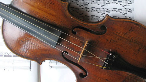 Třeboňská nocturna