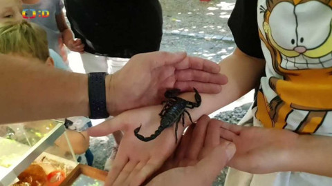 Zprávičky - 5. září 2021