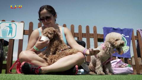 Zprávičky - 4. srpna