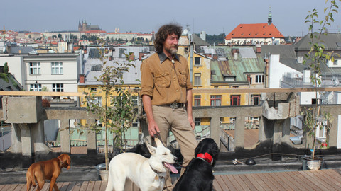 Kočka není pes - Značkující Čičák a štěněcí Barunka