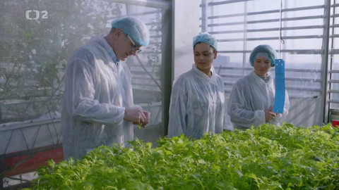 Dobrodružství vědy a techniky - Vertikální zemědělství