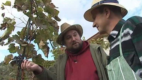 Zahrada je hra - 27. prosince 2007