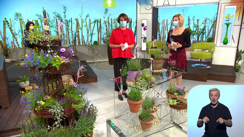 Sama doma - 1. června 2020