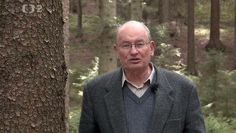 Sváteční slovo - Sváteční slovo Ondřeje Vaculíka