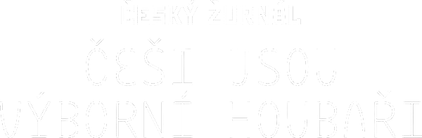 Češi jsou výborní houbaři