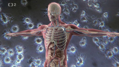 Dobrodružství vědy a techniky - Imunoterapie - paprsek naděje pro pacienty s rakovinou