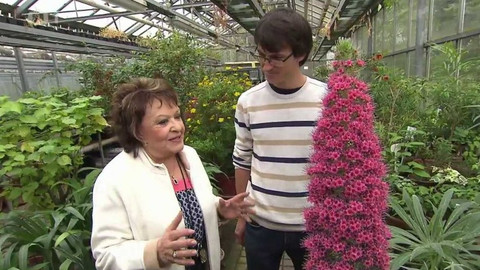 Hobby naší doby - Hobby naší doby - letní speciál