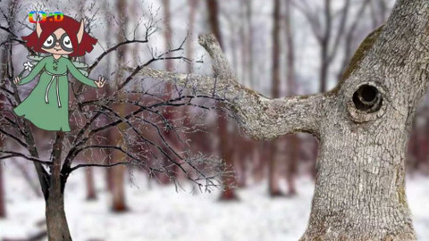 Ty Brďo! - Zima a mráz