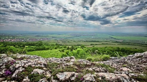 Nedej se! - Pálavská exotika