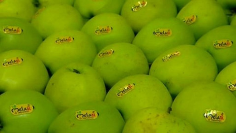 Pod pokličkou - Citrusy i kiwi s tělem činí divy. Co všechno nevíme a víme o tom, co pijeme a jíme