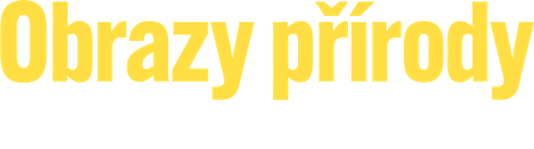 Obrazy přírody skrze různé snímací technologie