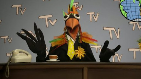 TvMiniUni - 8/16 Z čeho vznikla Země a proč má nosorožec tak silnou kůži?