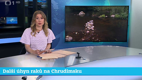 Události v regionech (sever a východ) - 28. července