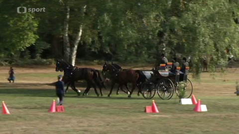 Jezdectví - M ČR spřežení Heřmanův Městec