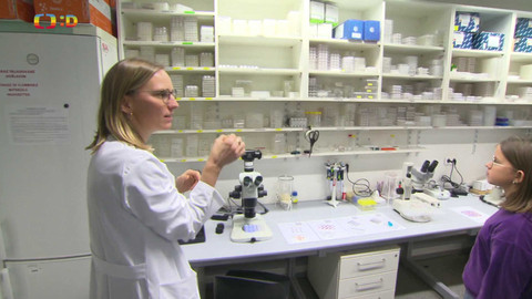 Zprávičky - 7. listopadu