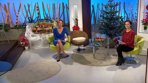 Sama doma - 28. listopadu 2022