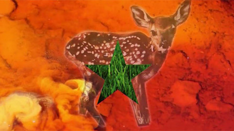 aFokus: Academia Film Olomouc - AFOkus: Academia Film Olomouc 2012