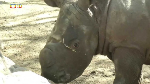 Zprávičky - 18. července 2020