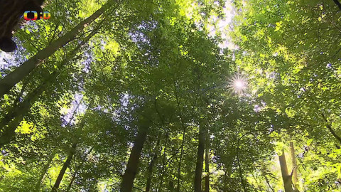 Zprávičky - 21. března