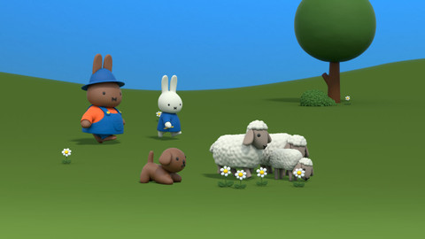 Miffy a její dobrodružství - 48/78 Ovčácký pes Ňafi